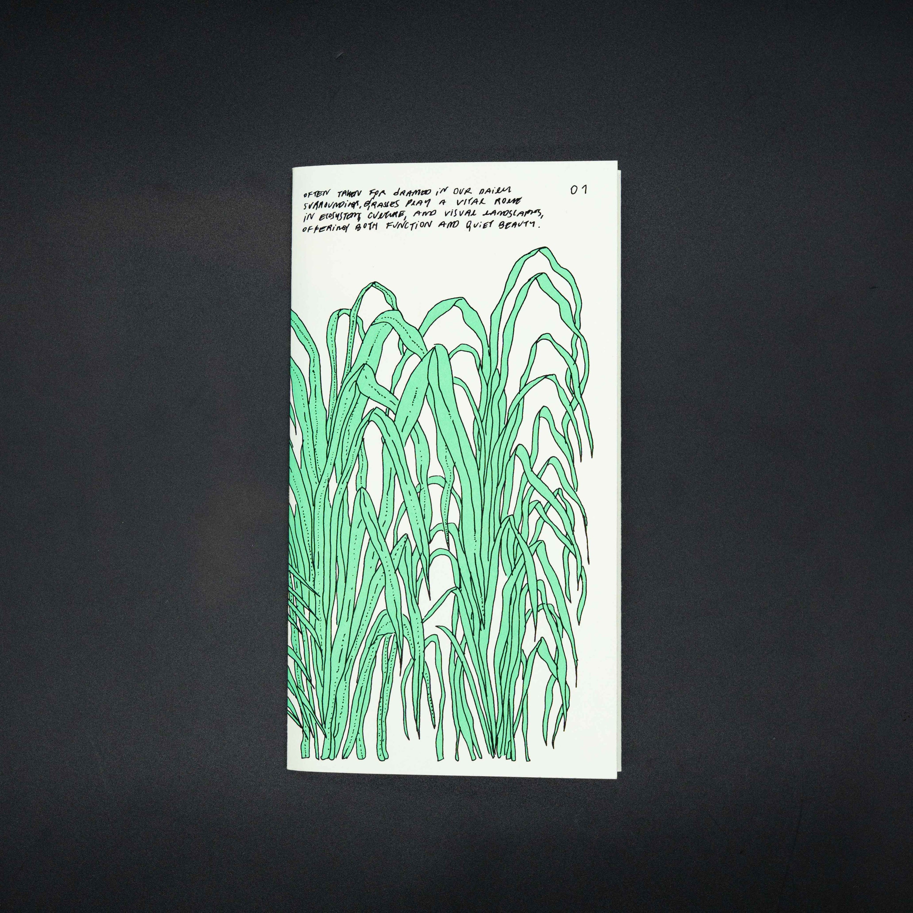 Grasses