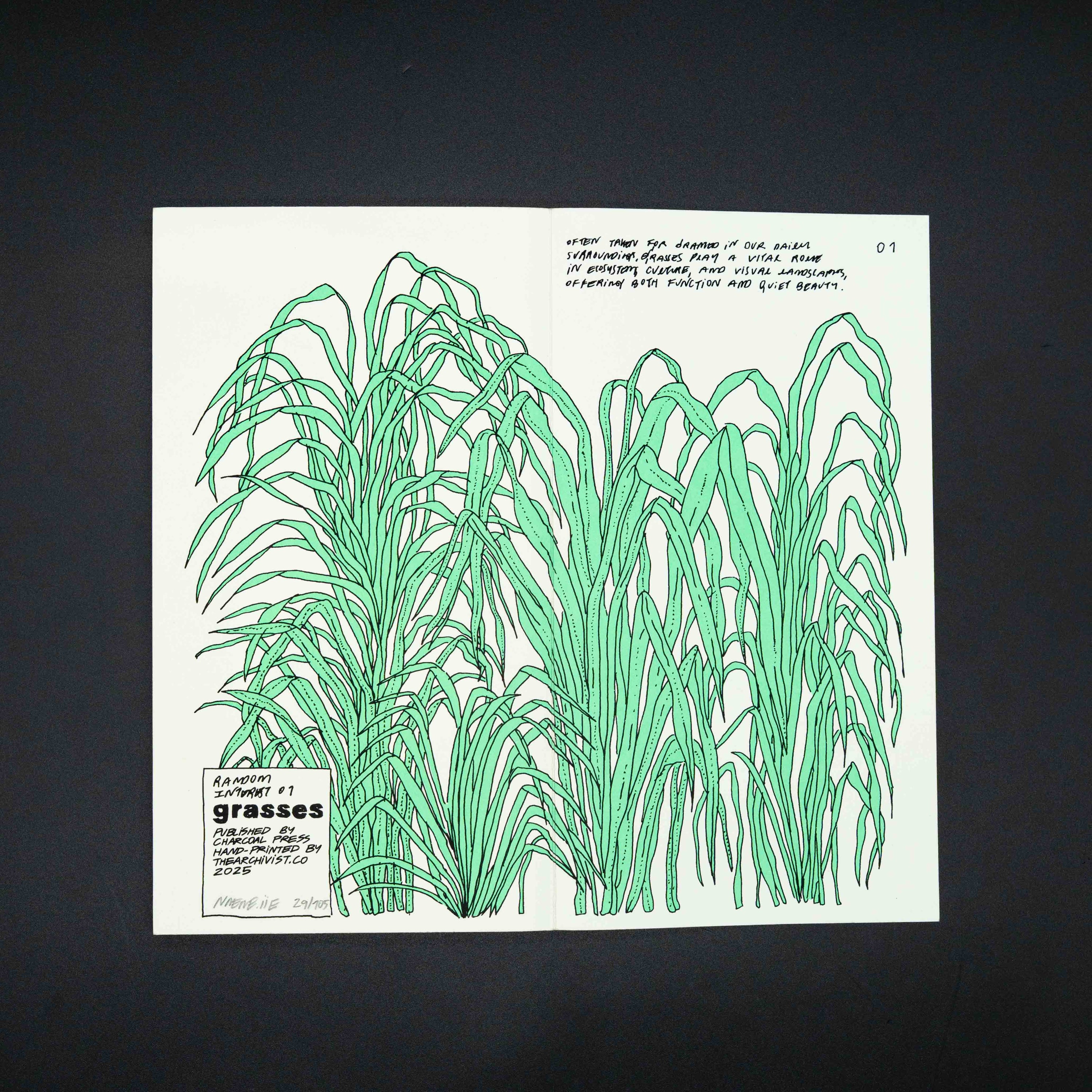 Grasses