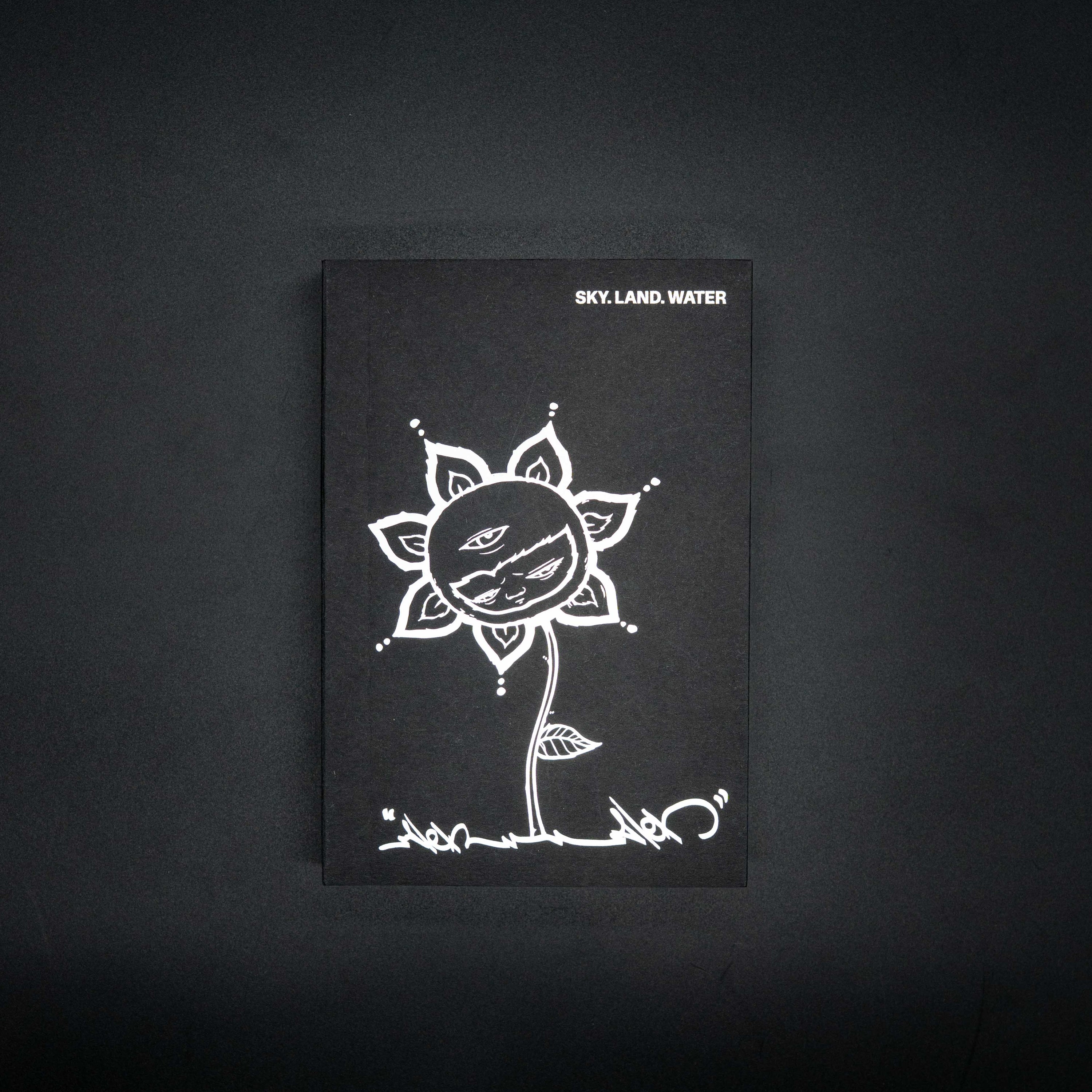 SKY. LAND. WATER: SKETCHBOOK BY ALEX FACE