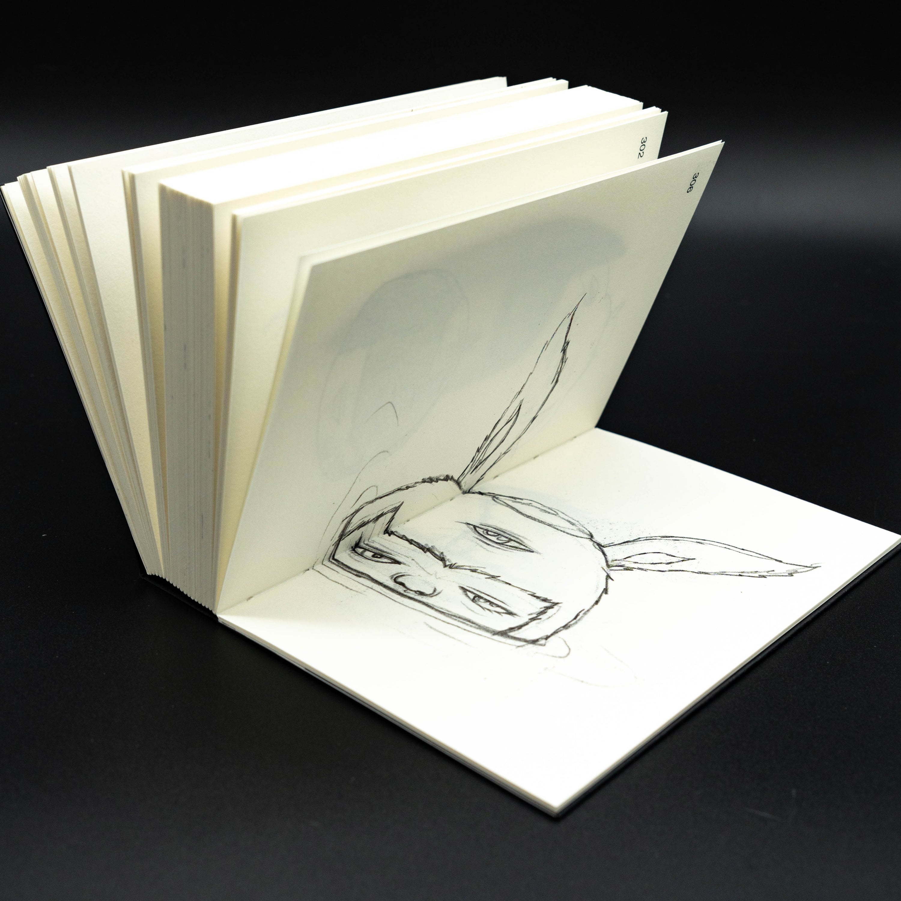 SKY. LAND. WATER: SKETCHBOOK BY ALEX FACE