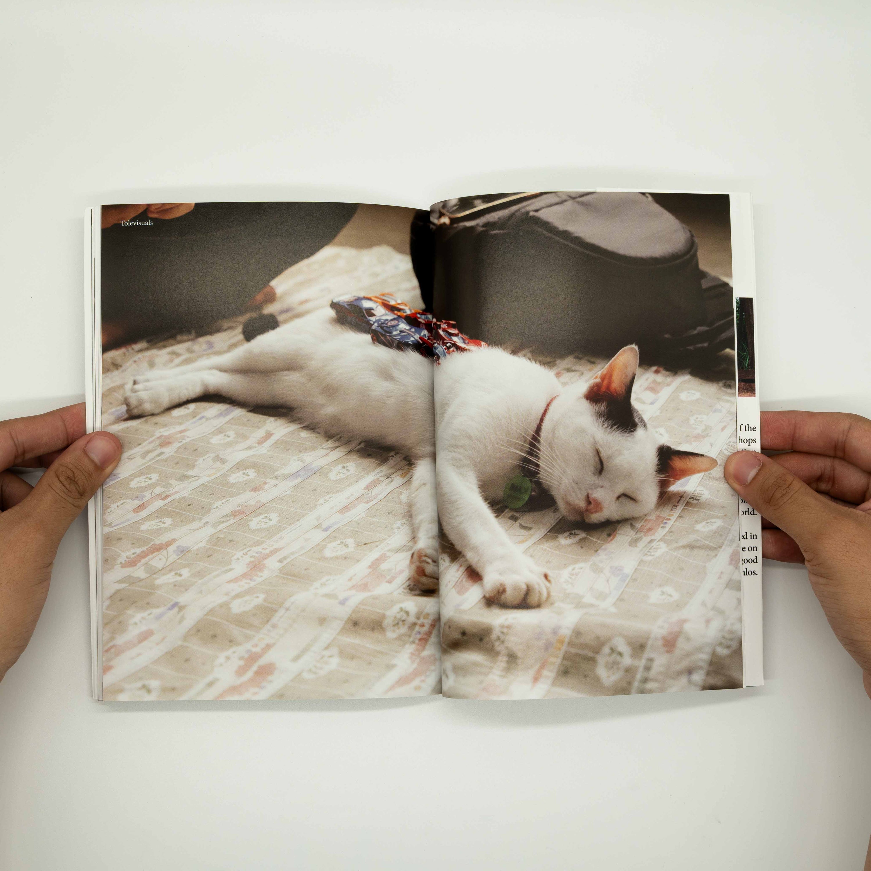 Tiga Mata Zine - Issue 3: Tenderness (Jessica Lim)