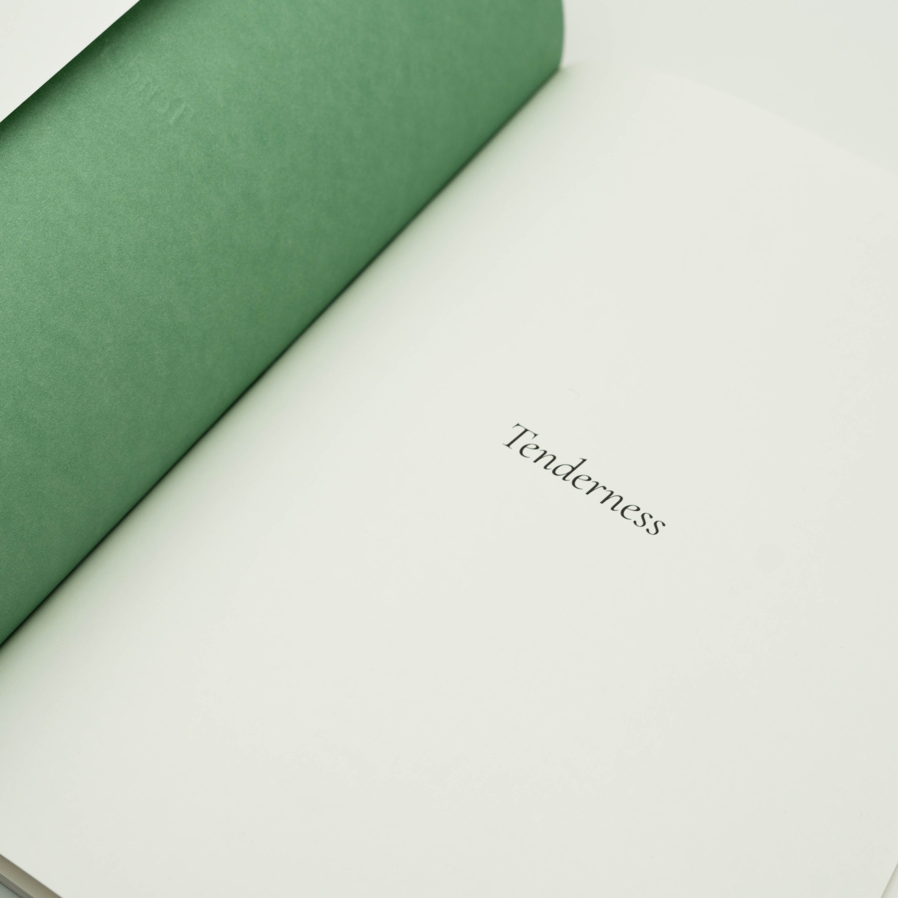 Tiga Mata Zine - Issue 3: Tenderness (Jessica Lim)